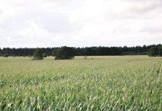 Umgebung - vom Grundstück aus