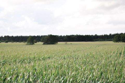 Kropp Häuser, Kropp Haus kaufen