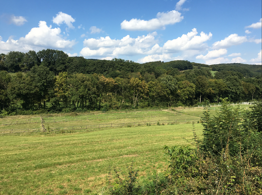 Ausblick, Archivaufnahme