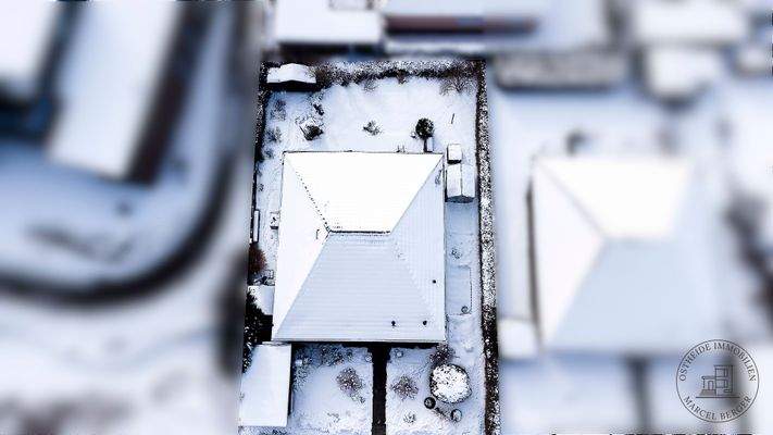 Aus der Vogelperspektive 