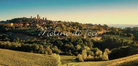 San Gimignano Gastronomie, Pacht, Gaststätten