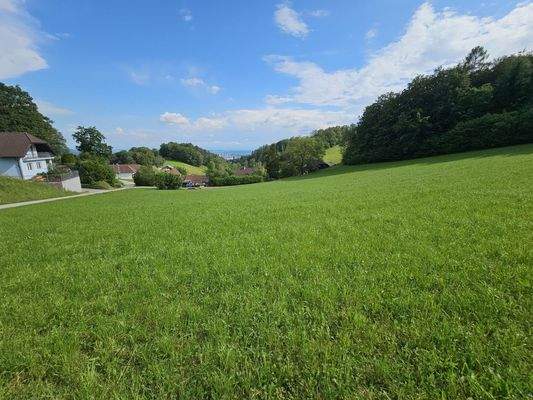 kleines Wohngebiet im Grünen