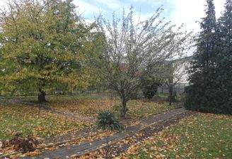 Blick übern Gartenzaun.jpg