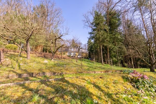 Blick durch den Garten
