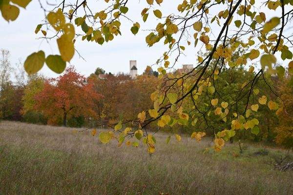 Wunderschöne Mietwohnungen in Burglengenfeld