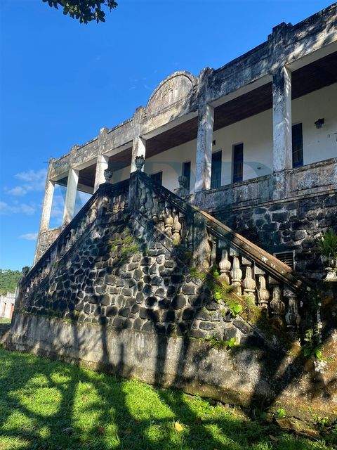 Bahia, Uruçuca, Uruçuca Bauernhöfe, Landwirtschaft, Bahia, Uruçuca, Uruçuca Forstwirtschaft