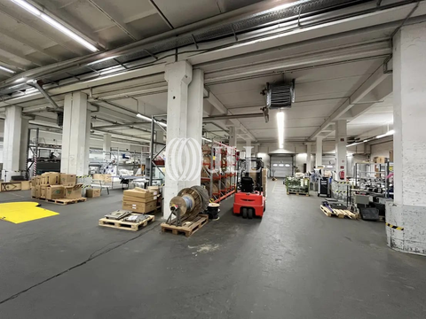 Potsdam Halle, Potsdam Hallenfläche