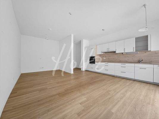 Wohnbereich mit Küchenzeile