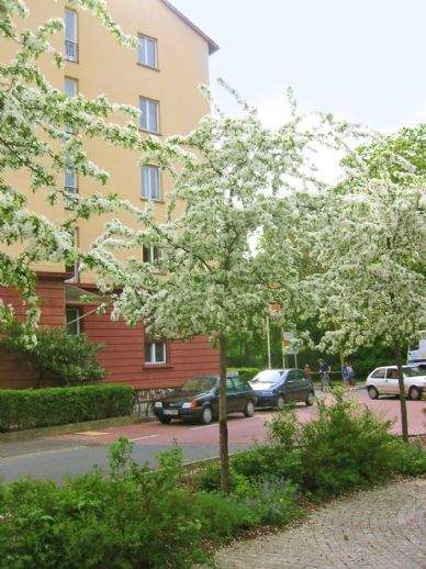 <br> ... - Vermietung 4-, Mehr-Zimmer-Wohnungen