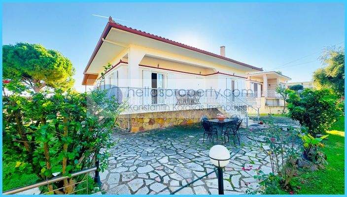 8525df64a0064129916b7c0df04f113e-original