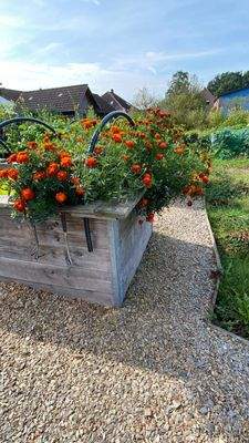 Impressionen Sommer25 (5).JPG