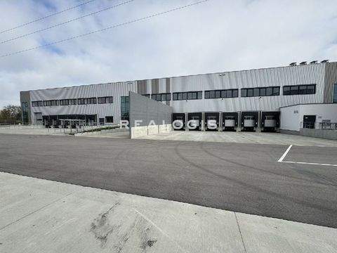 Eppelheim Halle, Eppelheim Hallenfläche