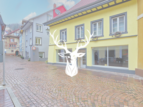 Waldshut-Tiengen Ladenlokale, Ladenflächen 