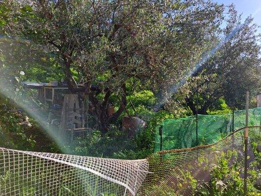 WhatsApp Image 2025-01-30 at 15.11.12_1f612734.jpg