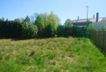 Süd-Ausrichtung (Garten)