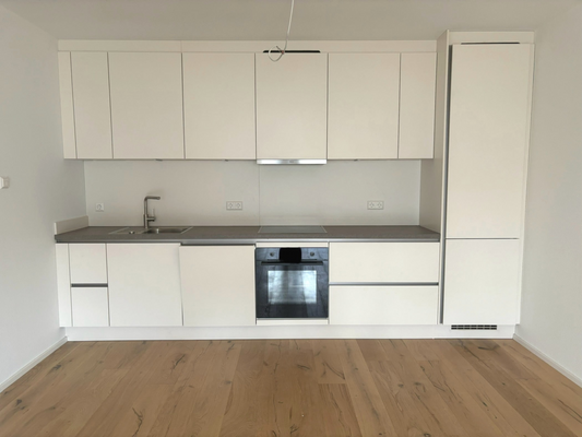 Küche mit Einbauküche