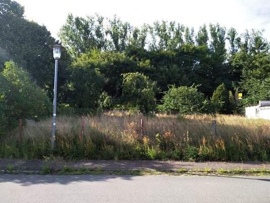 Blick von der Anwohnerstraße