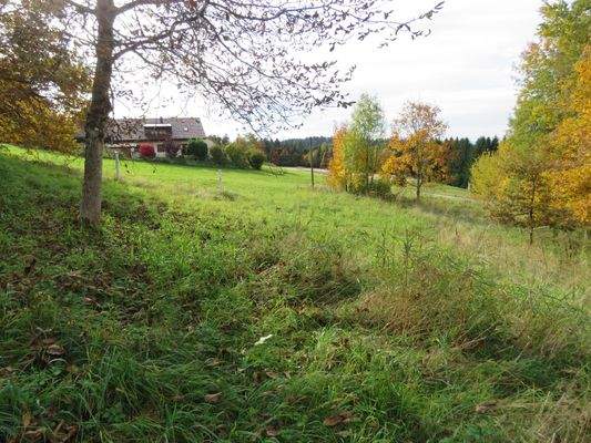 Blick Richtung Osten 