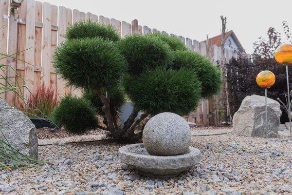 Impressionen / Eindrücke aus dem Garten