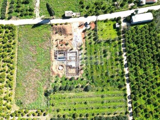 img_183517c7-cf9c-47e0-89dd-b8c5484ff508