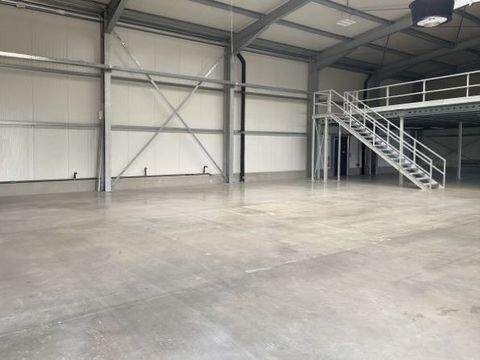 Wenzenbach Halle, Wenzenbach Hallenfläche