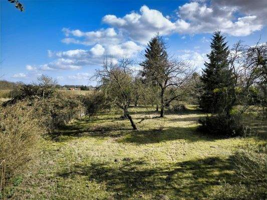 Blick aus dem Fenster