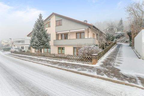 Reichenbach Häuser, Reichenbach Haus kaufen