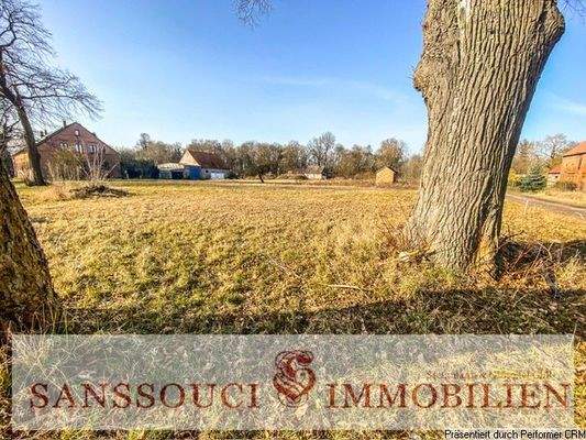 freier Blick auf das Grundstück