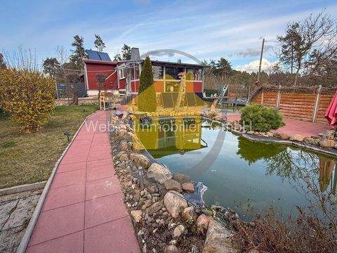 Thale Häuser, Thale Haus kaufen