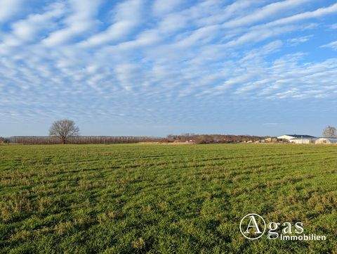 Werder/ Havel Bauernhöfe, Landwirtschaft, Werder/ Havel Forstwirtschaft