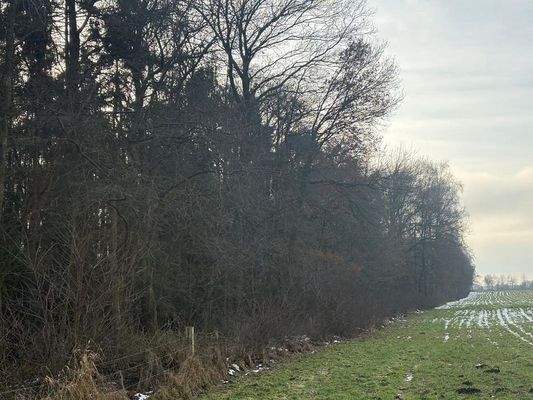 Hesterberg1_Flur15_Flstk45