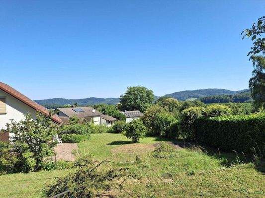 Blick vom Waldrand.jpg