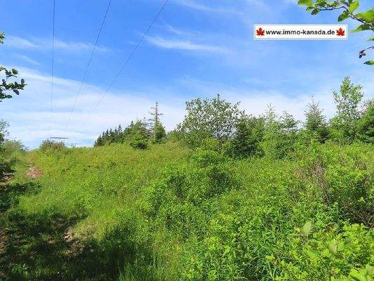 Cape Breton - Soldiers Cove - 26.790 m² großes Bau