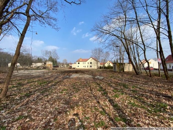 UNMITTELBAR AM STADTPARK VON ELSTERWERDA - Baufläche für Wohnbebauung