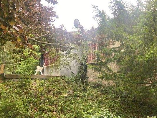 Blick zur Terrasse Bild 1