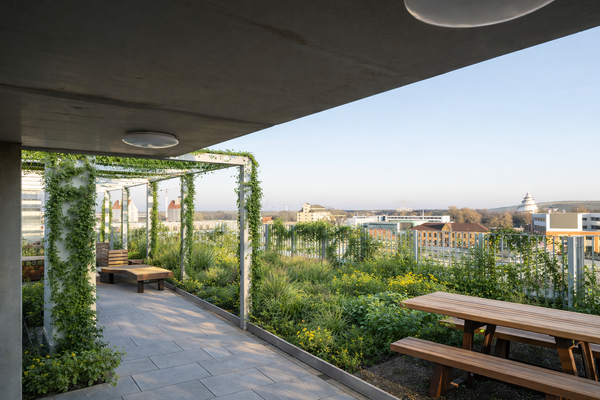 Dachgerten mit Blick auf die Elbe