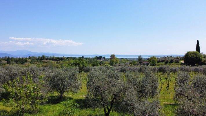 dji_fly_20250428_132424_365_1745912124882_photo_op