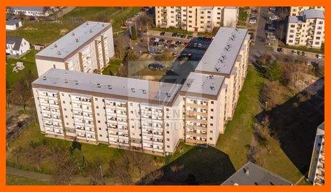 Gera Wohnungen, Gera Wohnung mieten