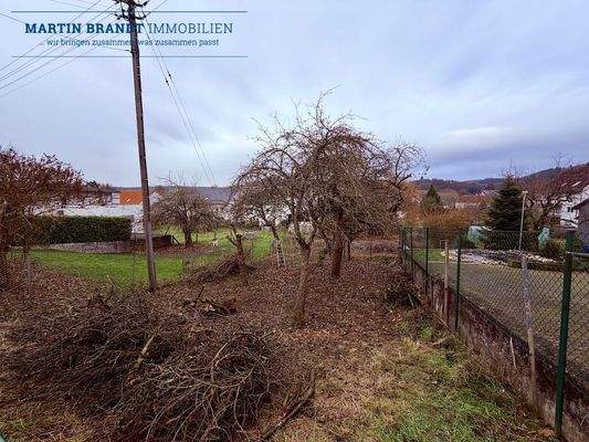 Grundstück Waldems-Esch_555 m²_GR 150