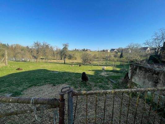 IMG-20250327-WA0021 - Copie.jpg