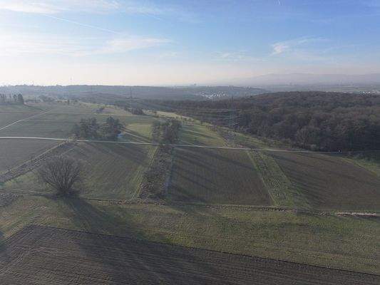 Blick Richtung Westen 