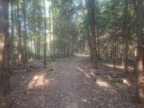 Sauerlach Bauernhöfe, Landwirtschaft, Sauerlach Forstwirtschaft