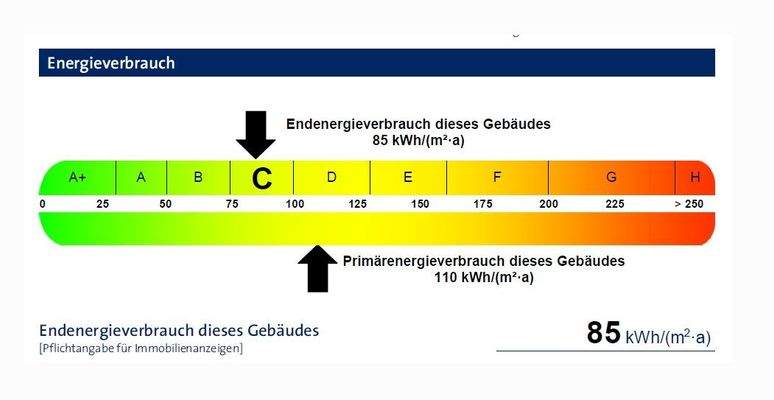 Ausschnitt Energieausweis