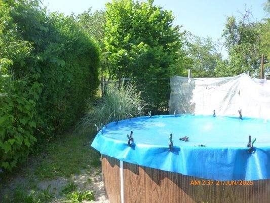 Pool im Garten 