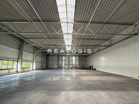 Hallbergmoos Halle, Hallbergmoos Hallenfläche