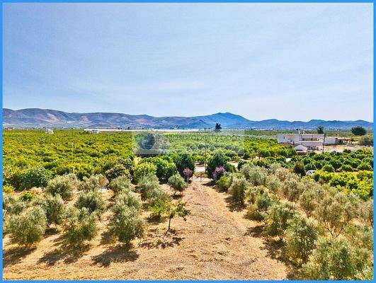 2f88ee73b38b49a39c2394ef0e242e0b-original