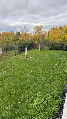 Groß (IMG_0384).jpeg