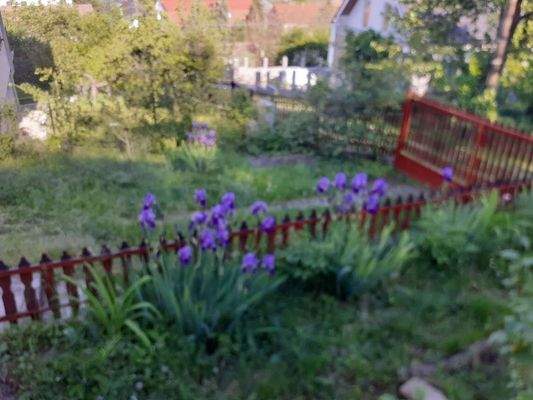 20230504_165904 (1).jpg