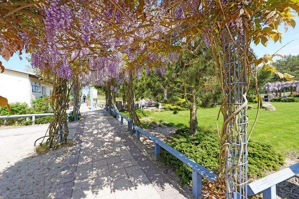 Blumenpracht Promenade