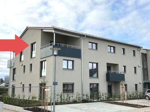 Freystadt Wohnungen, Freystadt Wohnung mieten